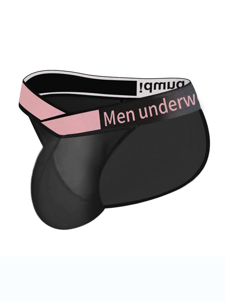 2 Pack Men's Sexy Bikini with See-through Pouch | dmunderwear detail image 1