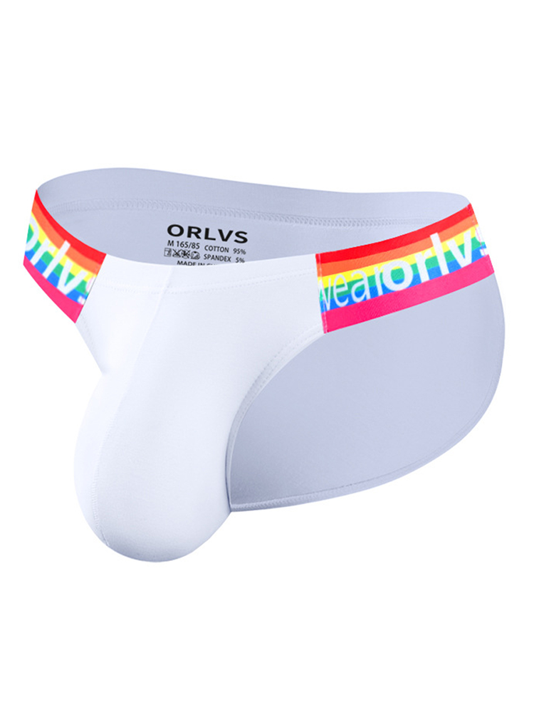 2 Pack Men's Sexy Rainbow Bikinis | dmunderwear detail image 1