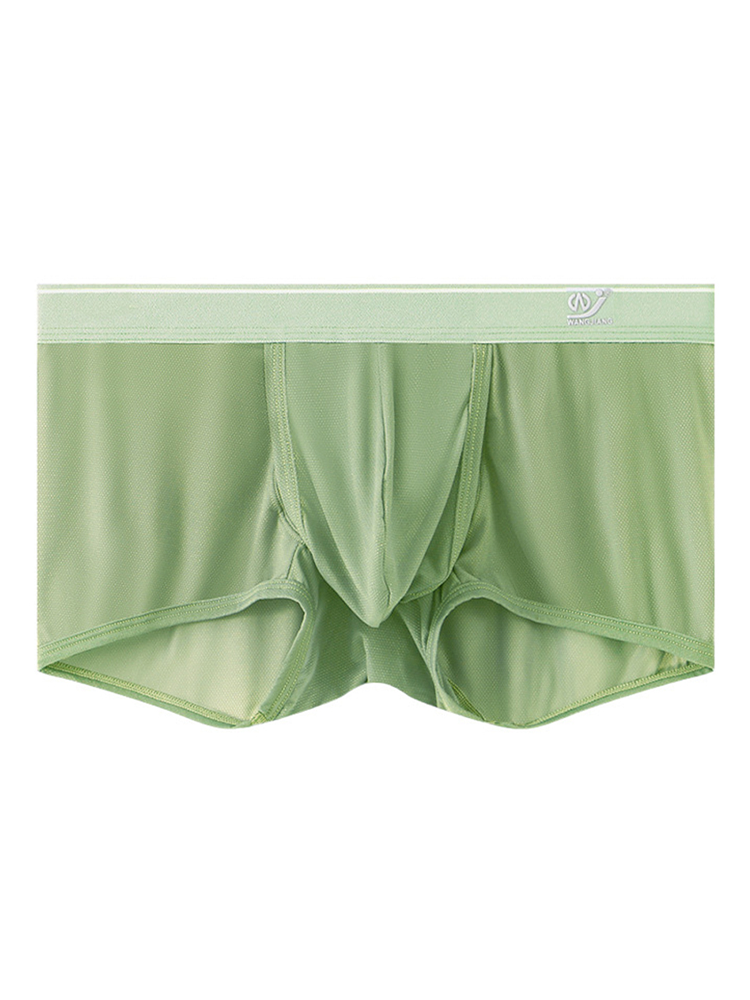 2 Pack Men's Breathable Mesh Trunks with Fly | dmunderwear detail image 1
