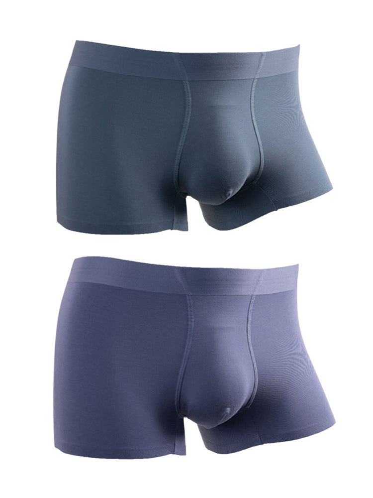 2 Pack Men's Large Pouch Antibacterial Boxer Briefs | dmunderwear variant image