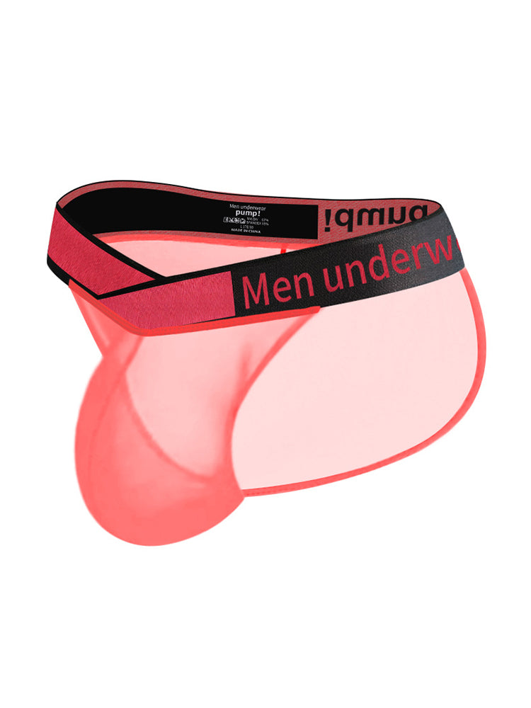 2 Pack Men's Large Pouch Semi-Transparent Sexy Bikini | dmunderwear detail image 1