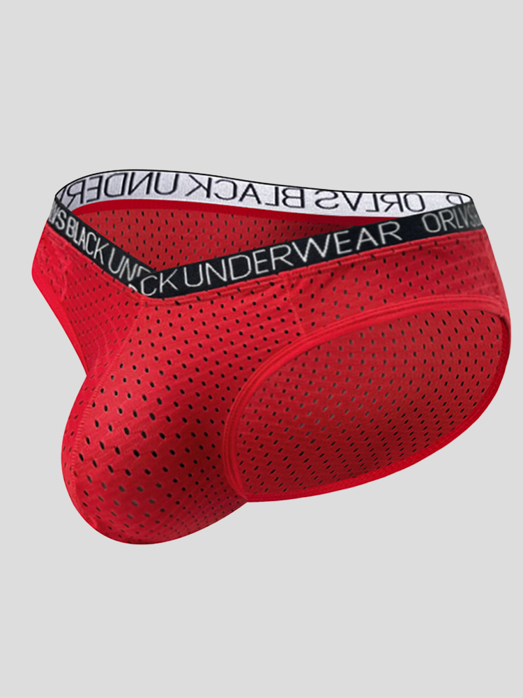 2 Pack Men's Sexy V-shape Waistband Mesh Bikinis | dmunderwear detail image 1