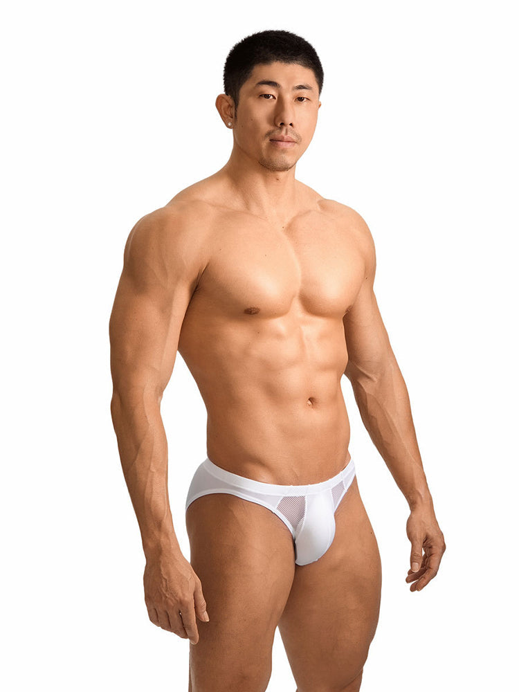 2 Pack Men's Sheer Mesh Low-Rise Sexy Ice Silk Briefs | dmunderwear detail image 1