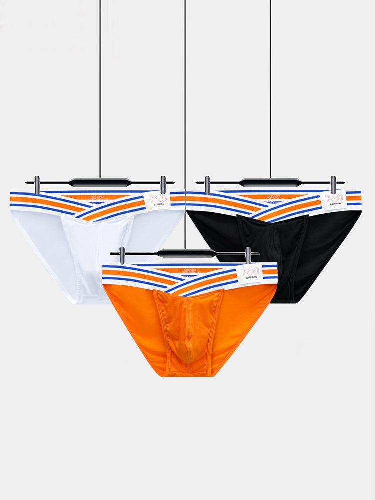 2-pack Men's Striped V-waist High-cut Briefs | dmunderwear detail image 1