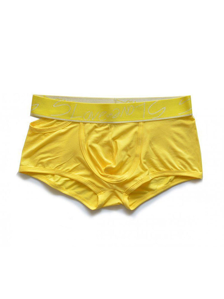 2 Pack Men's Stylish Breathable Modal Sports Trunks | dmunderwear detail image 1