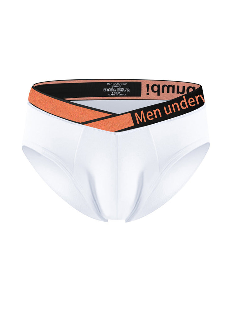 2 Pack Men's Stylish V-Shaped Waistband Briefs | dmunderwear detail image 1