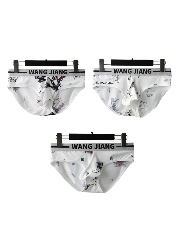 3 Pack Men's Ice Silk Dual Pouch Briefs | dmunderwear variant image