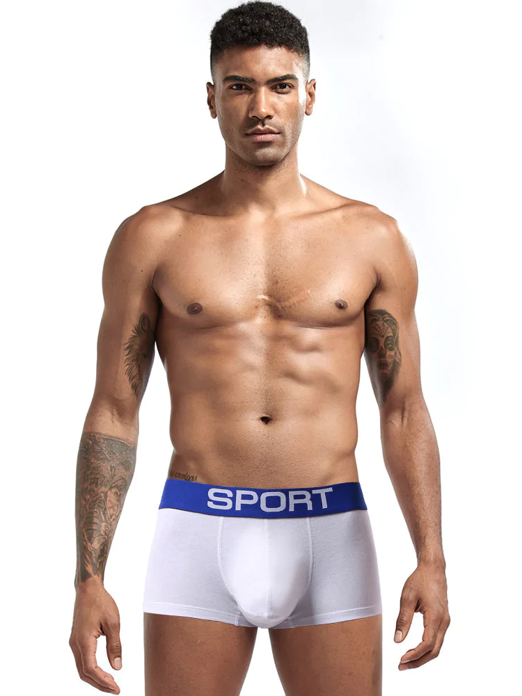 3 Pack Mens Sculpt Bulge Shape Support Pouch Underwear | dmunderwear detail image 1