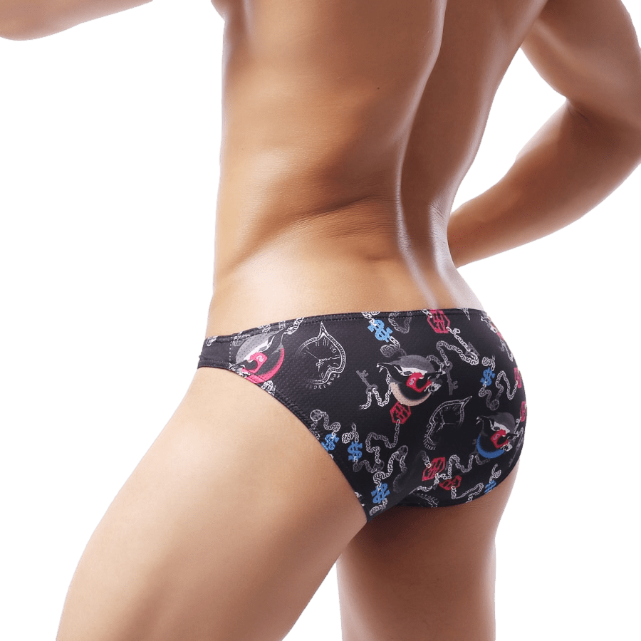 4 Pack Eclectic Bikini Briefs | dmunderwear detail image 9