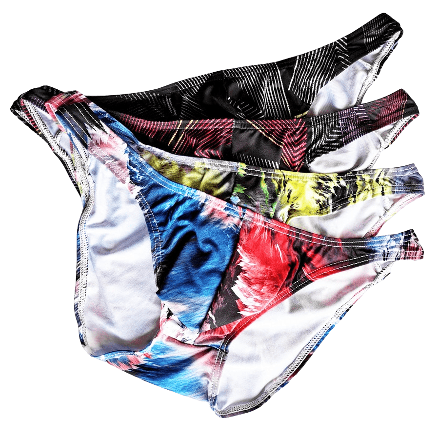 4 Pack Fab Bikini Briefs | dmunderwear variant image