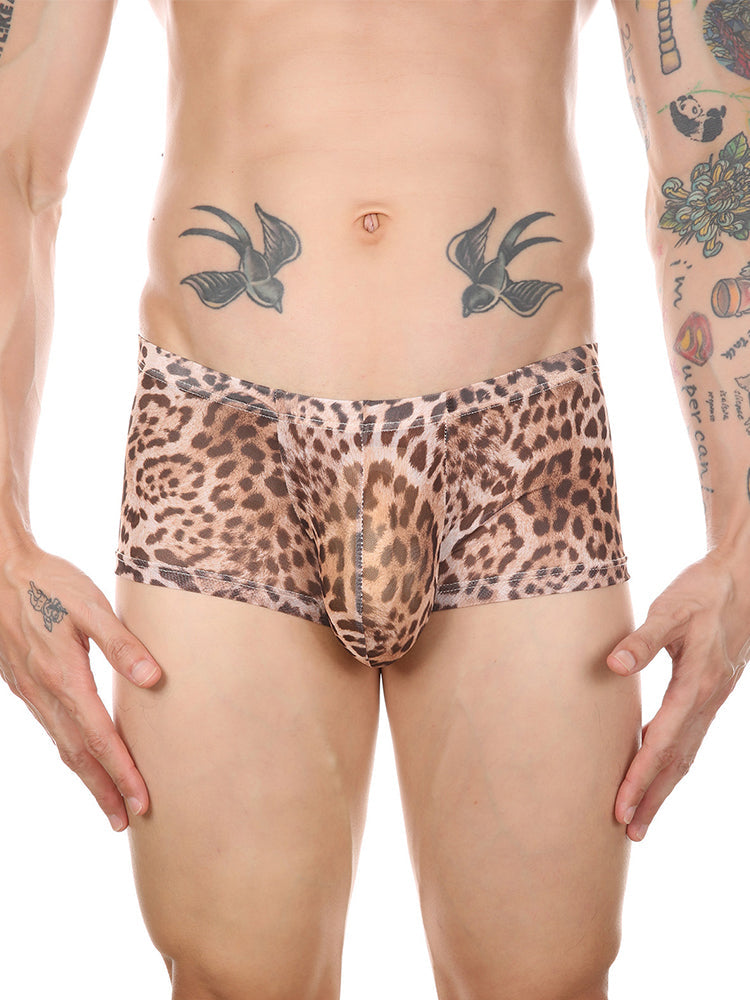 4 Pack Leopard Print See-through Mesh Trunks | dmunderwear detail image 1