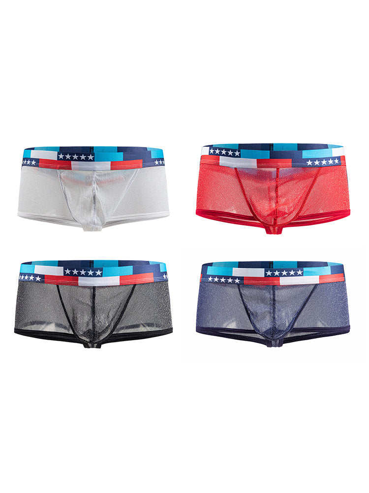 4-pack Men's Low-rise See-through Micro-mesh Pouch Shiny U-convex Wide-edge Boxer Briefs | dmunderwear variant image