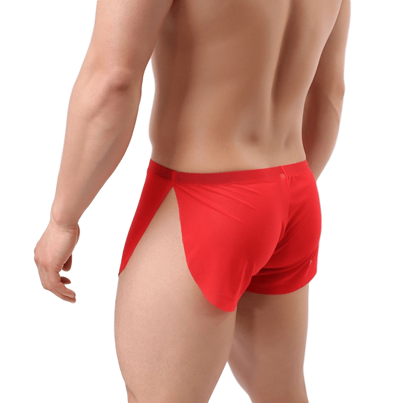 4 Pack Sheer Slit Shorts | dmunderwear detail image 5