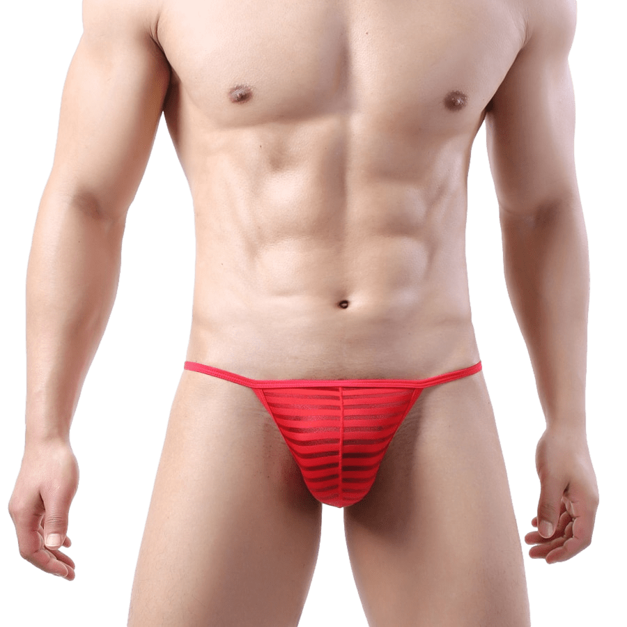 4 Pack Sheer Striped String Bikini | dmunderwear detail image 4