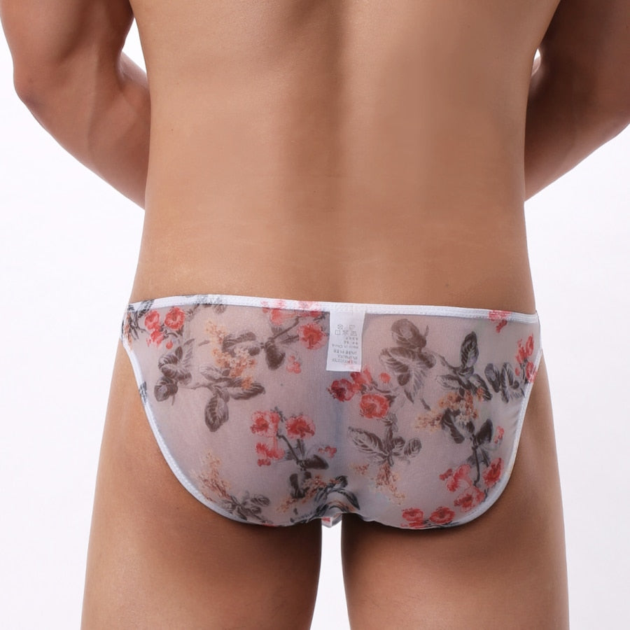 4 Pack Trippy Sheer Bikini Briefs | dmunderwear detail image 5