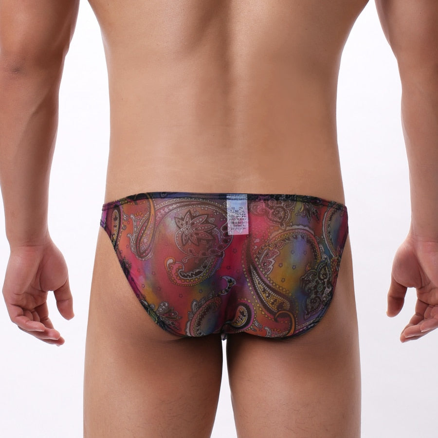 4 Pack Trippy Sheer Bikini Briefs | dmunderwear detail image 8