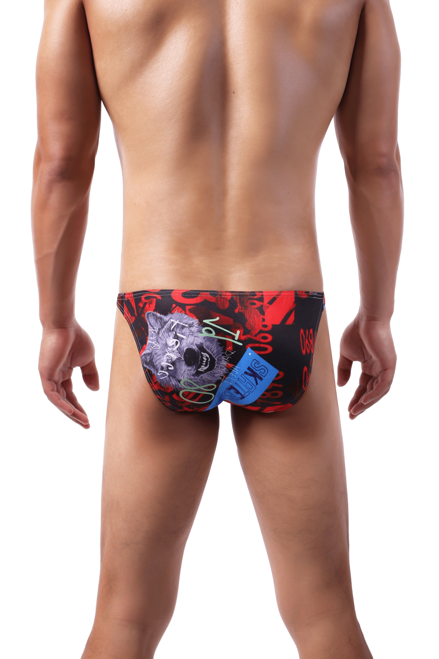 4 Pack Vogue Pop Bikini | dmunderwear detail image 13