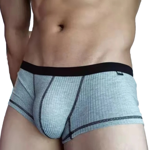 Accentuate Ribbed Trunks | dmunderwear detail image 1