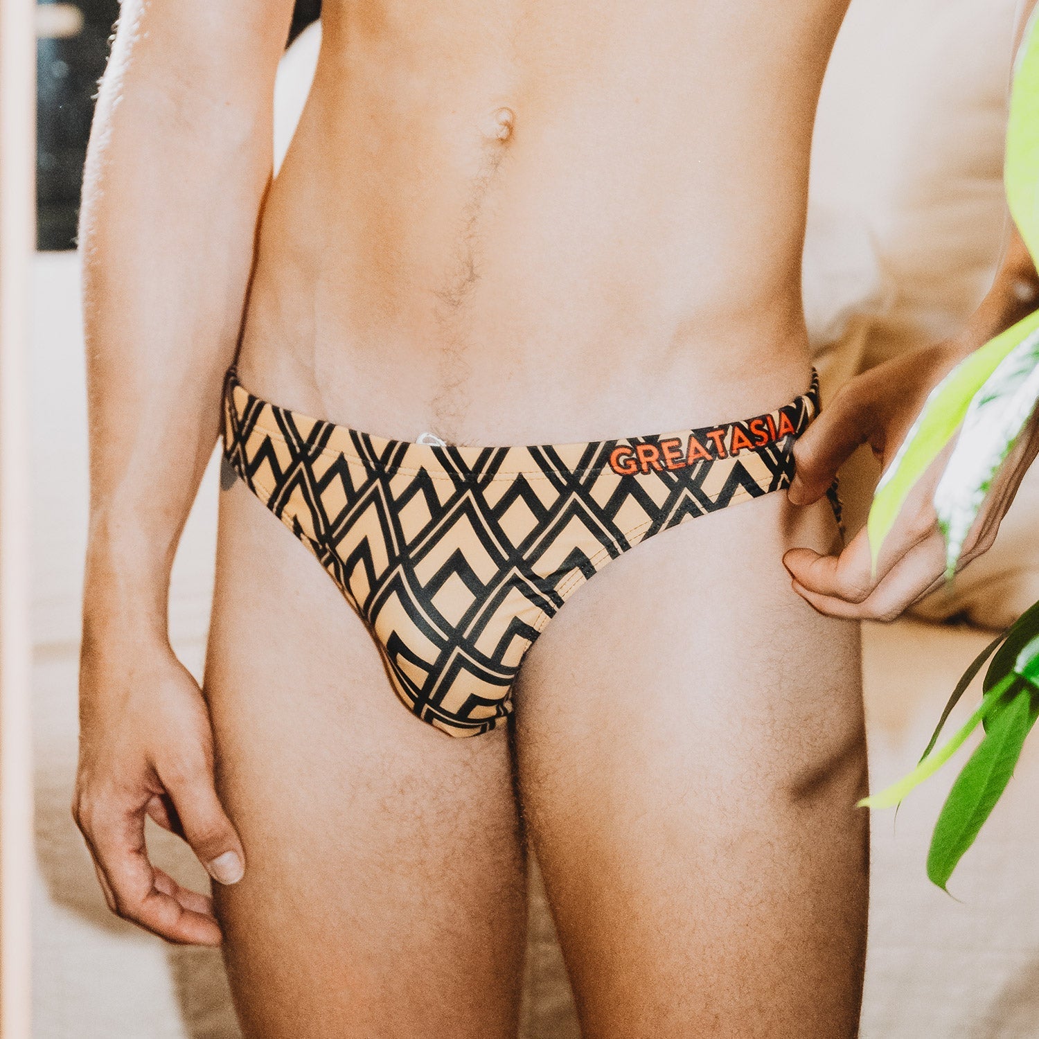 Aztec Swim Briefs | dmunderwear variant image