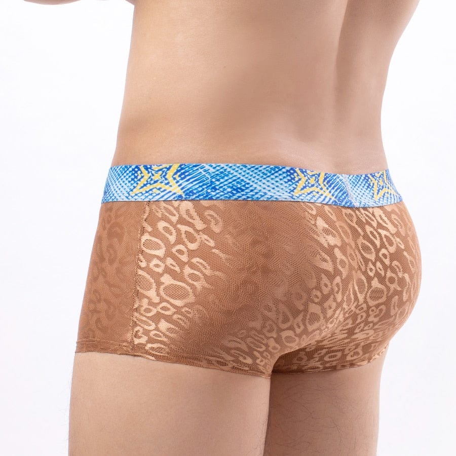 Bold Leopard Lace Trunks | dmunderwear detail image 5