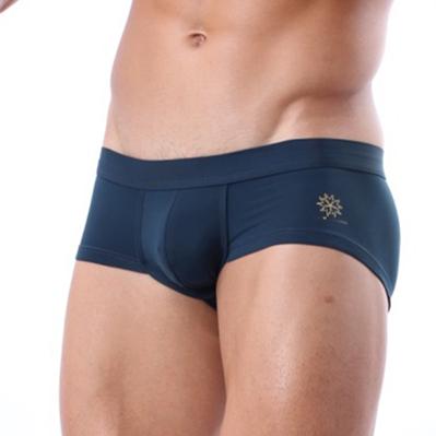 Brave Person Skinny Boxer Briefs | dmunderwear detail image 4