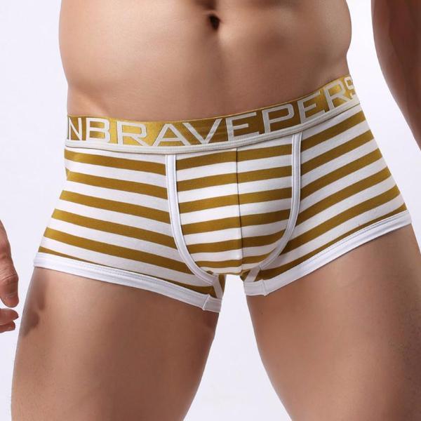 Brave Person Striped Boxer Briefs | dmunderwear detail image 1