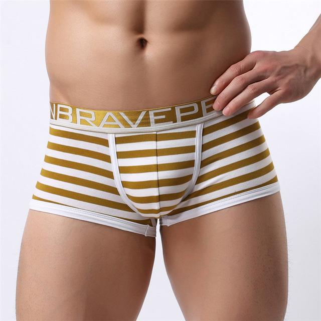 Brave Person Striped Boxer Briefs | dmunderwear variant image