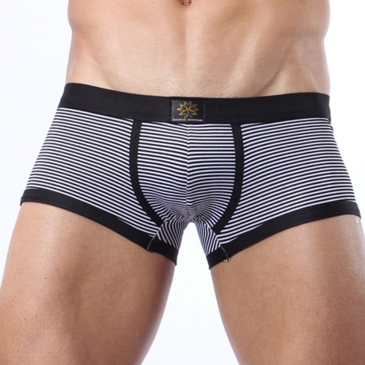 Brave Person Striped Lycra Boxer Briefs | dmunderwear detail image 1