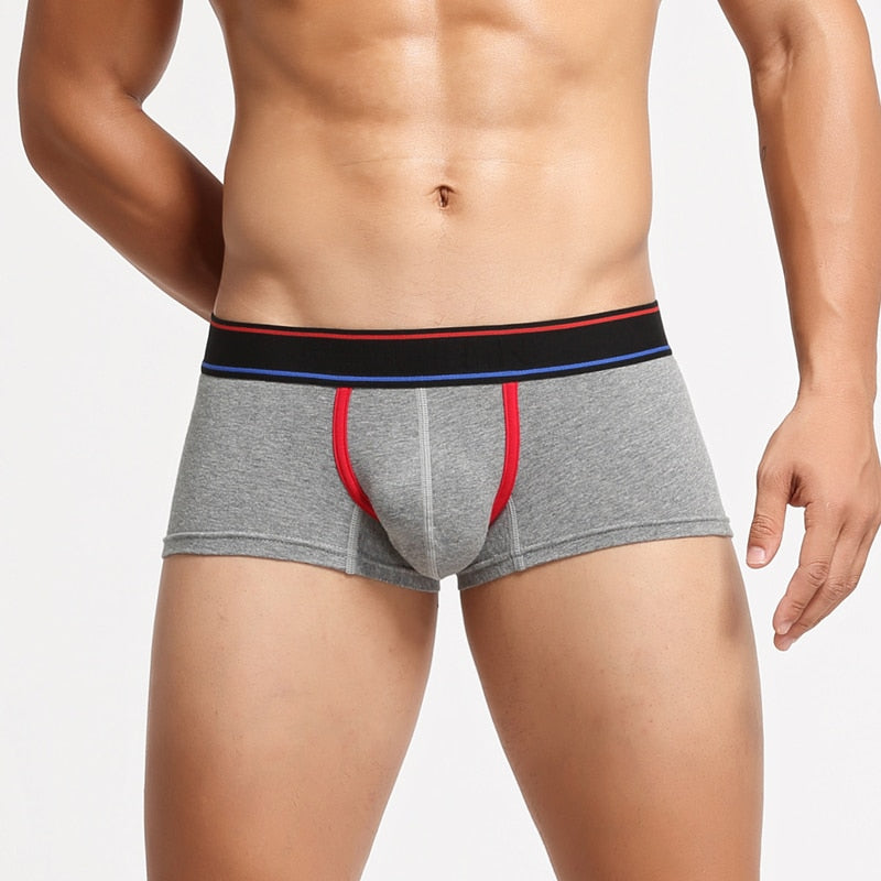 Can You Host Boxers | dmunderwear detail image 10