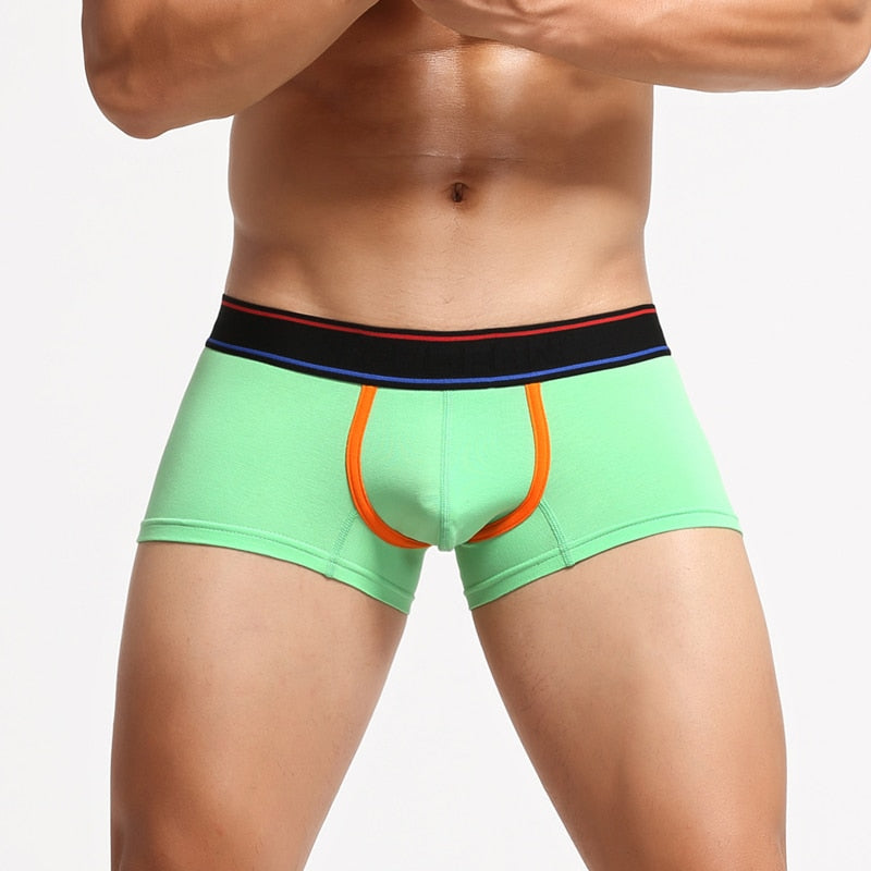 Can You Host Boxers | dmunderwear detail image 19