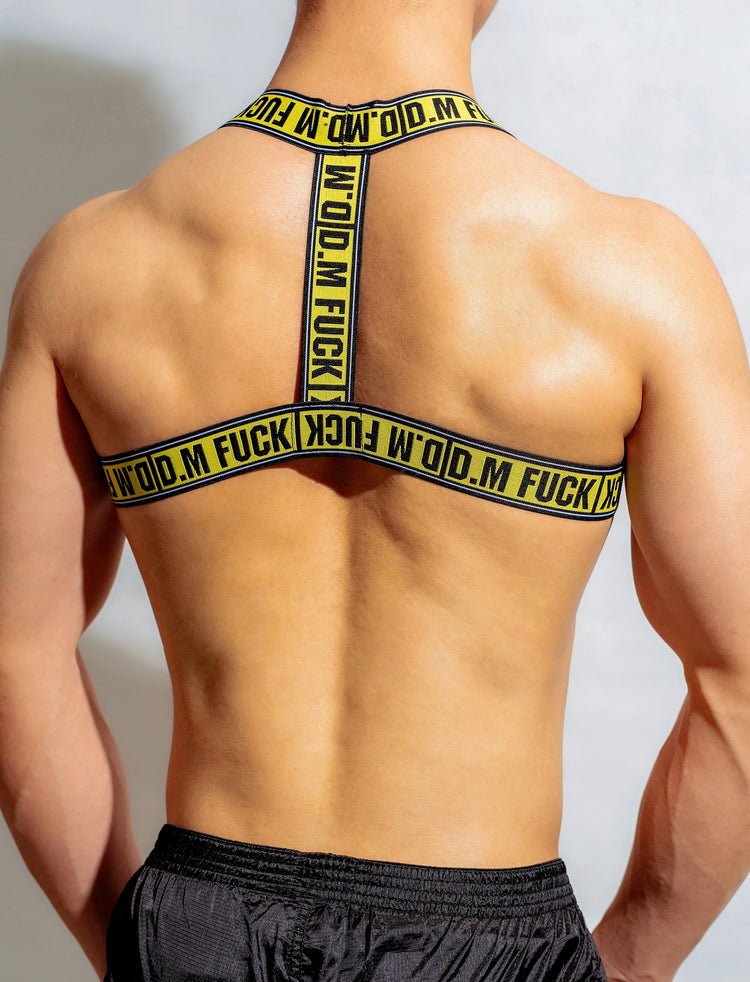 DM F*ck Pec Harness | dmunderwear detail image 9
