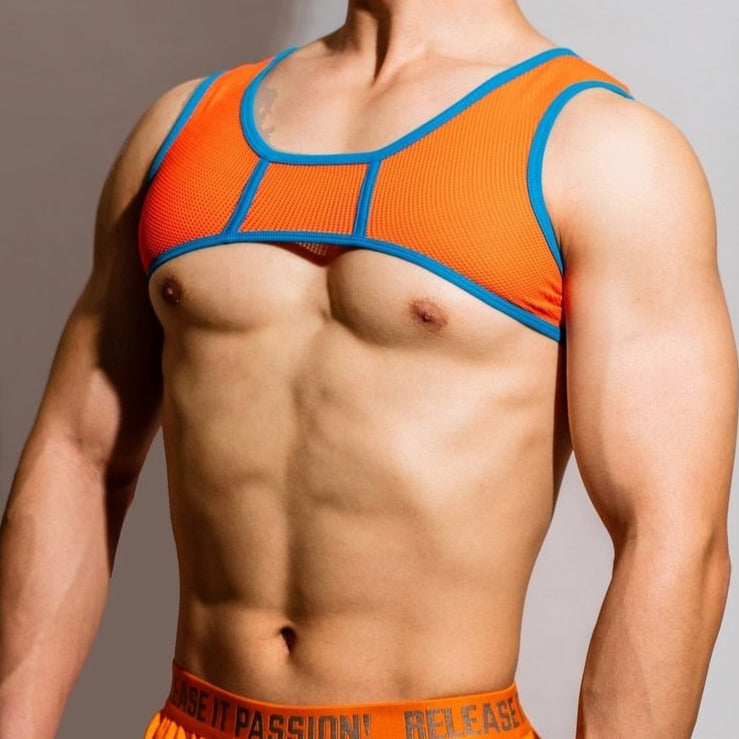 DM Passion Neon Mesh Harness | dmunderwear detail image 2