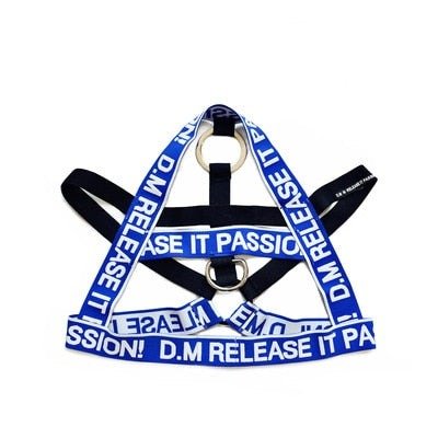 ORVLS DM Passion Pec Harness | dmunderwear detail image 5