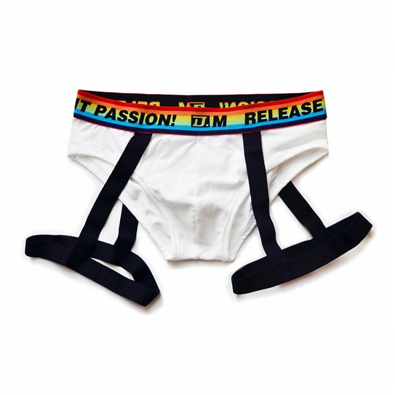 ORVLS DM Rainbow Passion Garter Briefs | dmunderwear detail image 1