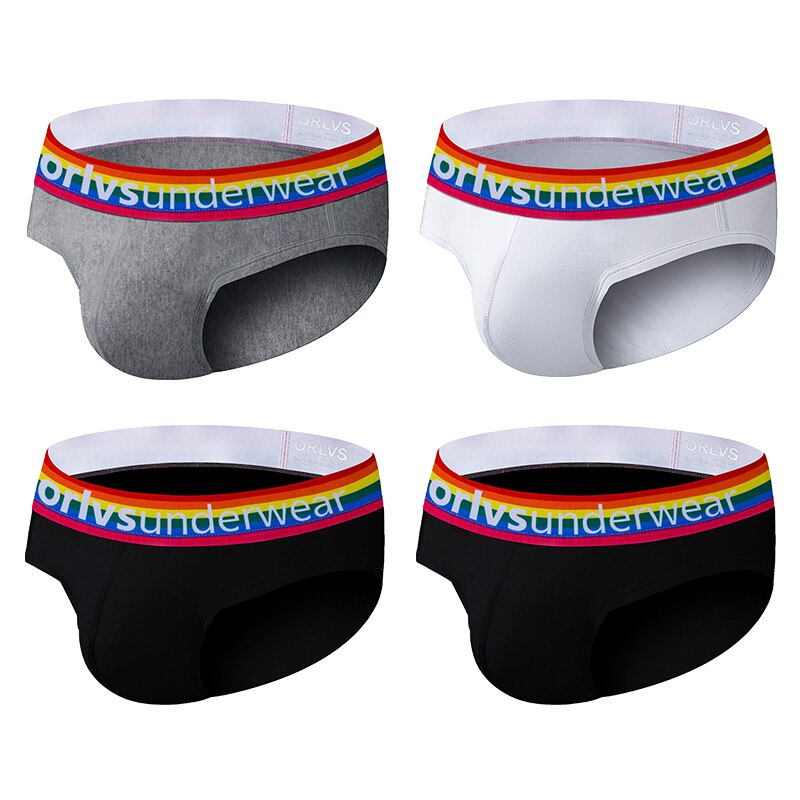 Pride Briefs (4 Pack) | dmunderwear detail image 1