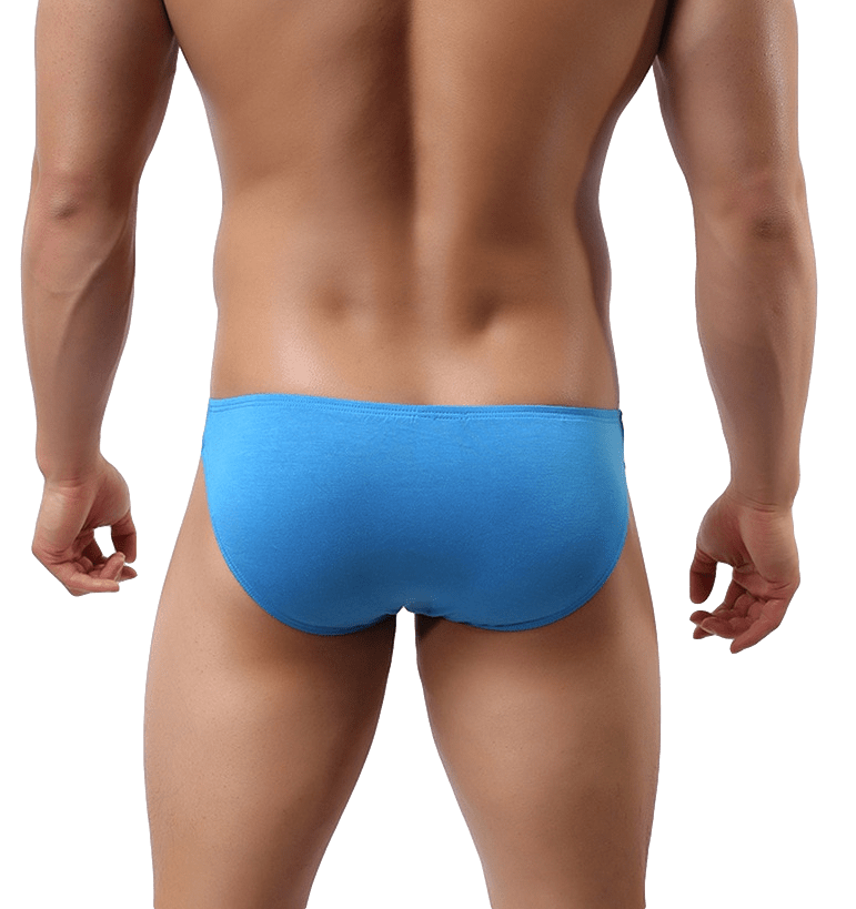 Essential Modal Bikini Briefs | dmunderwear detail image 4