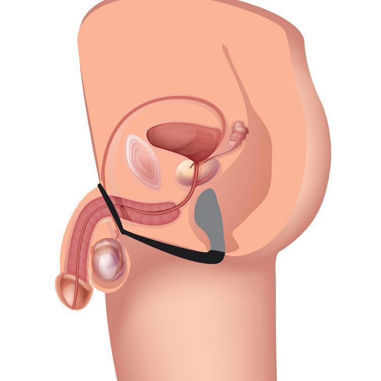 Explorer II Prostate Stimulator and Cock Ring | dmunderwear product image 8