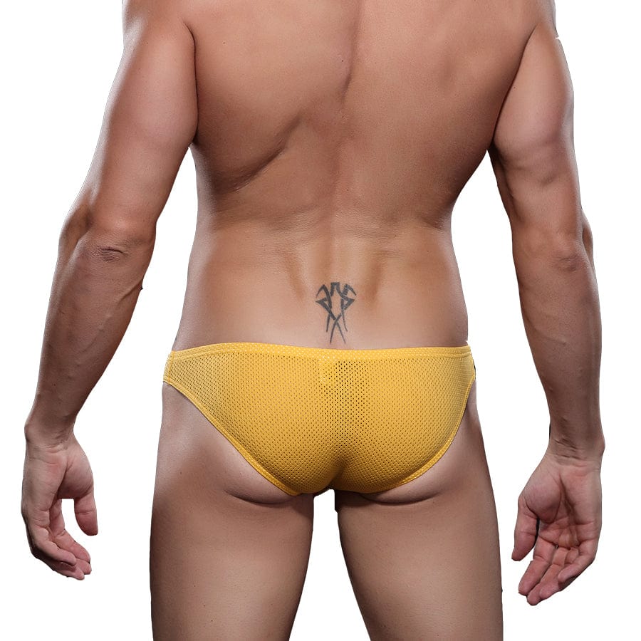 Exposed Bulging Mesh Briefs | dmunderwear detail image 2
