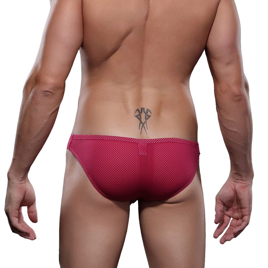 Exposed Bulging Mesh Briefs | dmunderwear detail image 4