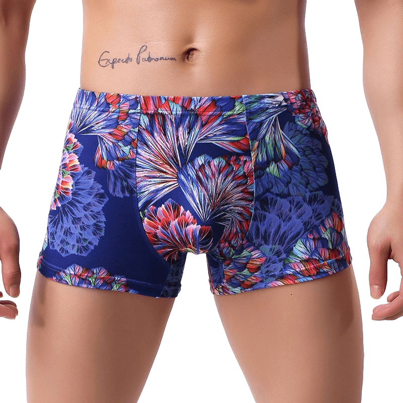 Fractal Trunks | dmunderwear variant image