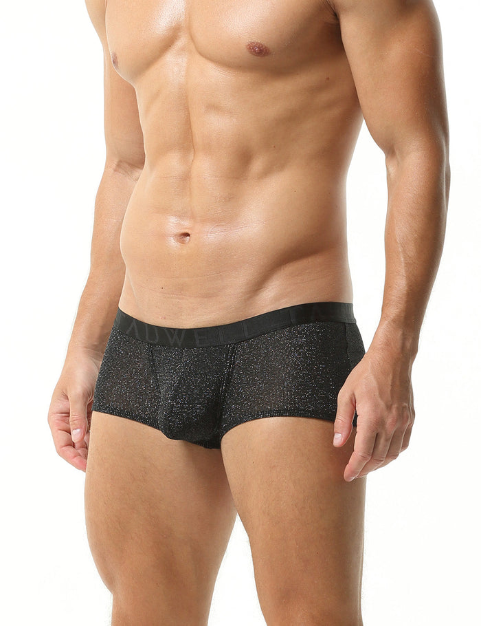 Glimmer Trunks | dmunderwear detail image 11