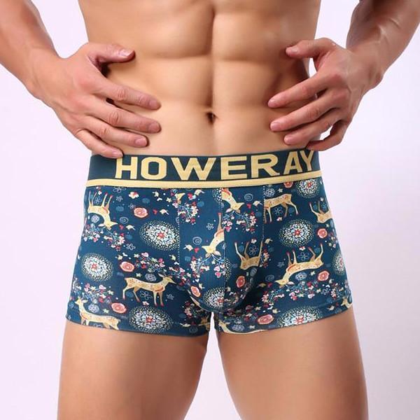 Howe Ray Forest Boxer Briefs | dmunderwear detail image 1