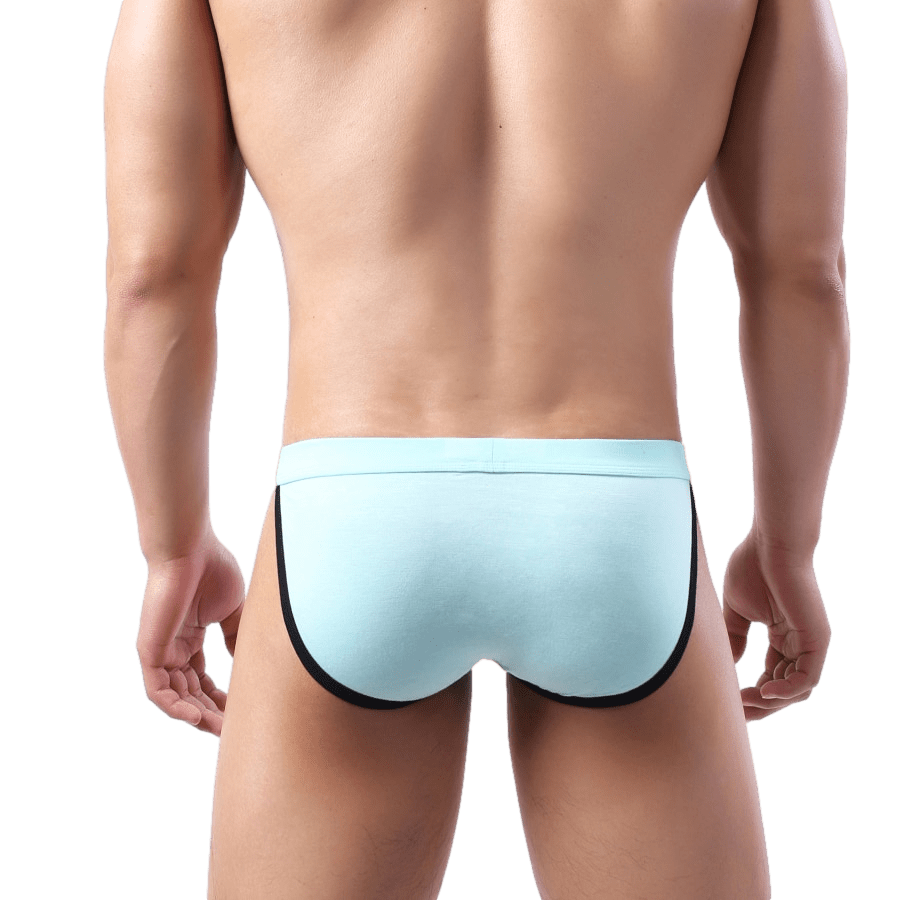 Irresistible Tanga Briefs | dmunderwear detail image 4