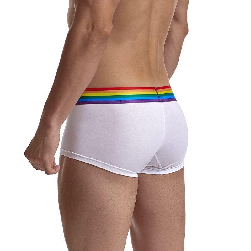 Jockmail Rainbow Band Boxer Briefs | dmunderwear detail image 4