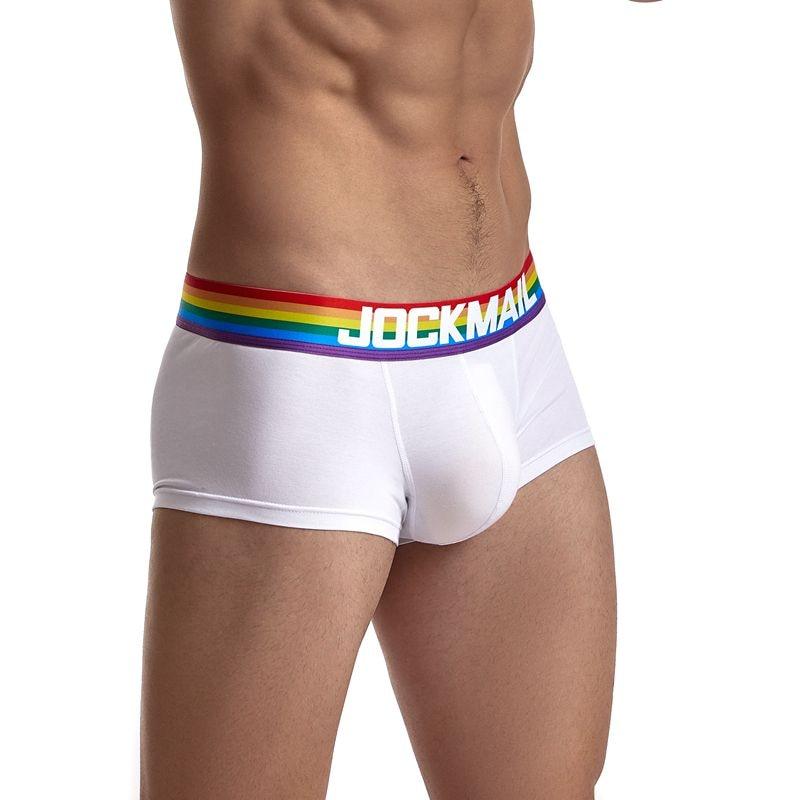 ORVLS Jockmail Rainbow Band Boxer Briefs | dmunderwear detail image 1