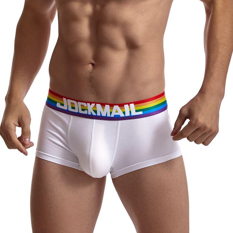 ORVLS Jockmail Rainbow Band Boxer Briefs | dmunderwear variant image
