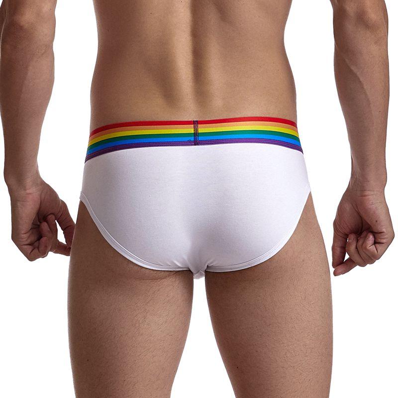 Jockmail Rainbow Band Briefs | dmunderwear detail image 3