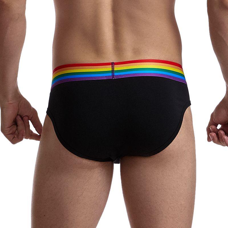 ORVLS Jockmail Rainbow Band Briefs | dmunderwear detail image 6