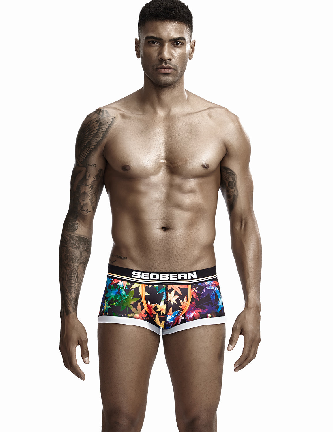 Low Rise Sexy Maple Leaf Boxer Brief 90223 | dmunderwear variant image