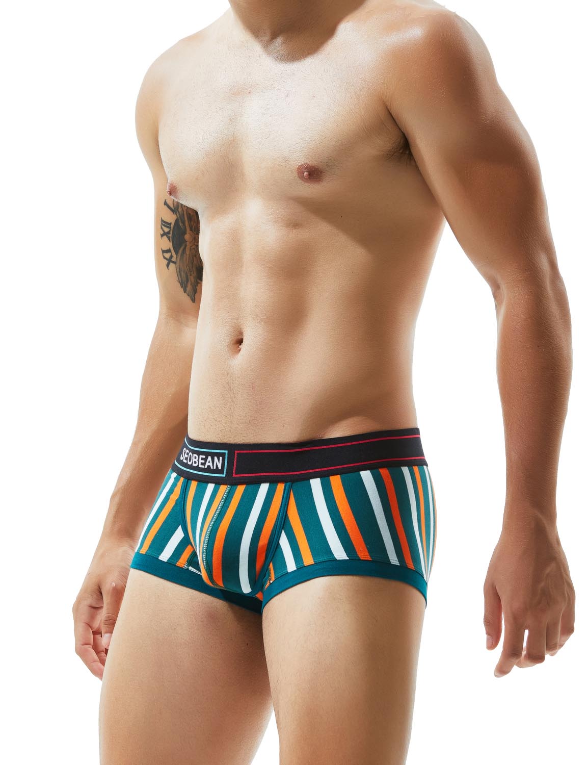 Low Rise Stripe Boxer Brief 80214 | dmunderwear variant image